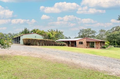 Property photo of 1528 Cooroy Belli Creek Road Ridgewood QLD 4563