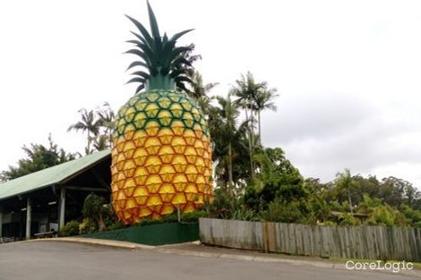 Property photo of 56 Pringle Road Rosemount QLD 4560
