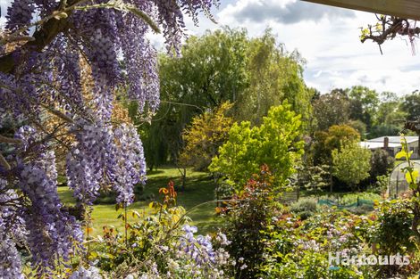 155 Dexter St, Westbury, TAS 7303