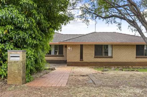 41 Champagne Cres, Wilsonton Heights, QLD 4350