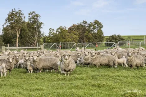 3495 Corangamite Lake Rd, Cundare North, VIC 3251