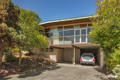 Property photo of 6 Orion Street Balwyn North VIC 3104