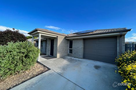 Property photo of 6 Constance Stone Street Macgregor ACT 2615