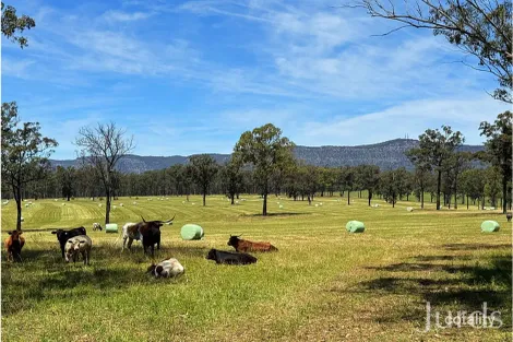 Property photo of 694 Hermitage Road Pokolbin NSW 2320
