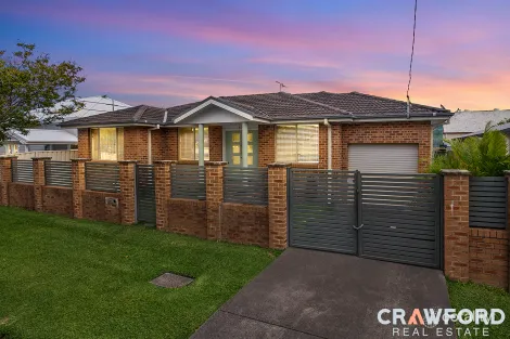 Property photo of 6 Astley Street Georgetown NSW 2298