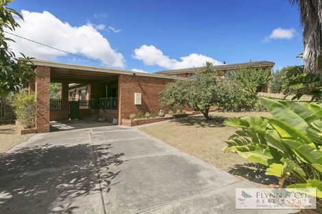 23 Bienias Cres, Tootgarook, VIC 3941