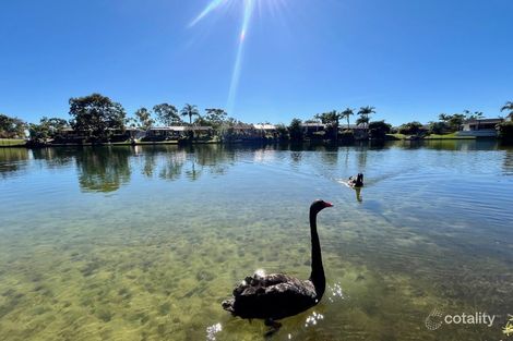 Property photo of 15/53 Kangaroo Avenue Coombabah QLD 4216