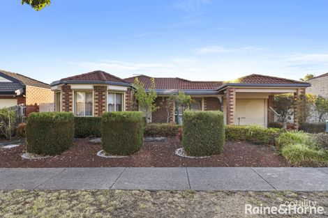 4 Lynch Pl, Roxburgh Park, VIC 3064