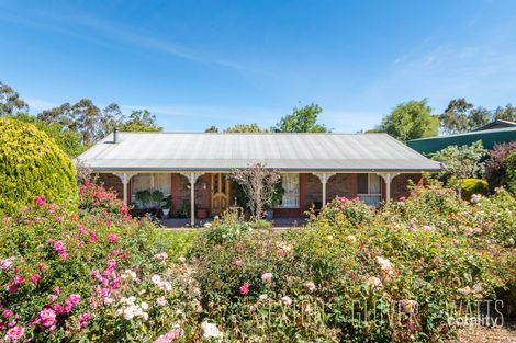 33 Todd St, Macclesfield, SA 5153