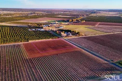 Property photo of 296 McCarthy Road Lake Wyangan NSW 2680