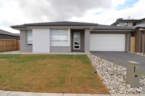 43 Ambient Cres, Beveridge, VIC 3753