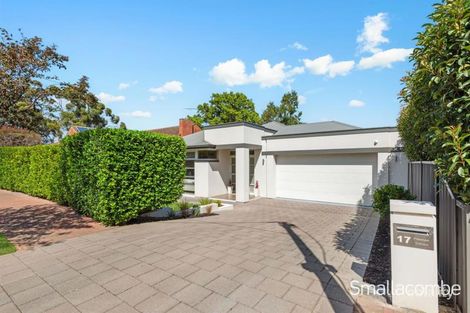 17 Primrose Tce, Rosslyn Park, SA 5072