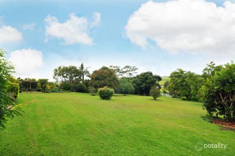 Property photo of 4 Nulla Nulla Lane Hinton NSW 2321