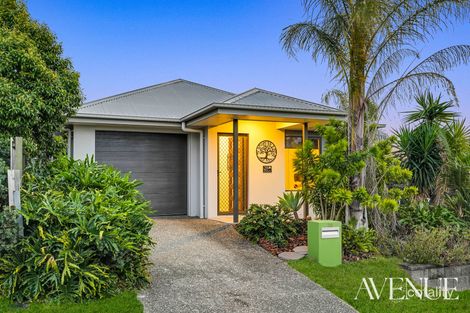 Property photo of 28 Wilson Circuit Flagstone QLD 4280