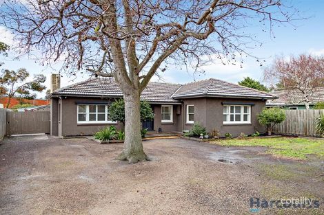 Property photo of 25 Rosslyn Avenue Seaford VIC 3198