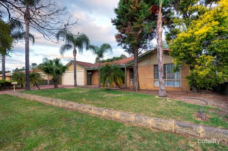 Property photo of 41 Kookaburra Crescent High Wycombe WA 6057