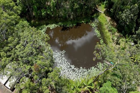 Property photo of 272 Ringtail Creek Road Ringtail Creek QLD 4565