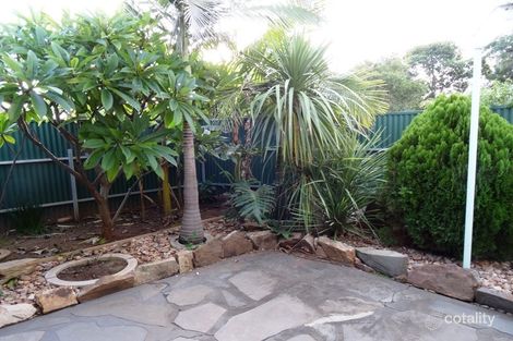 Property photo of 11 McCoy Street Brighton SA 5048