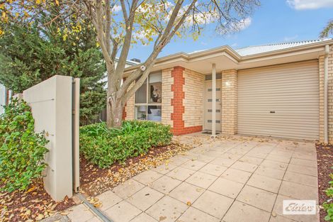 Property photo of 10 Albemarle Street West Hindmarsh SA 5007