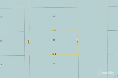 43 Sheridan St, Menzies, WA 6436