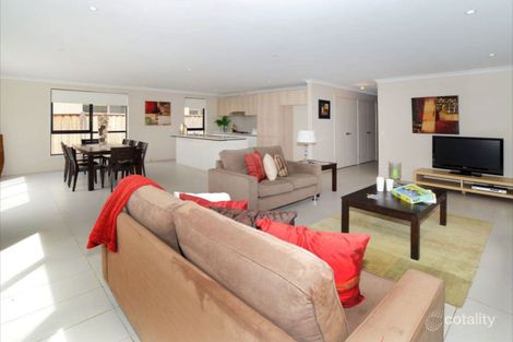 Property photo of 13 Woolybush Drive Tarneit VIC 3029