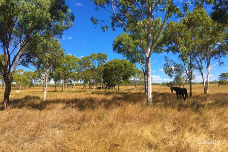 213 Nine Mile Rd, Marlborough, QLD 4705