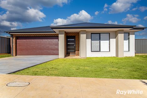 28 Callaghan St, Jackass Flat, VIC 3556