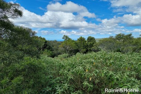 Property photo of 107 Lyrebird Ridge Road Springbrook QLD 4213