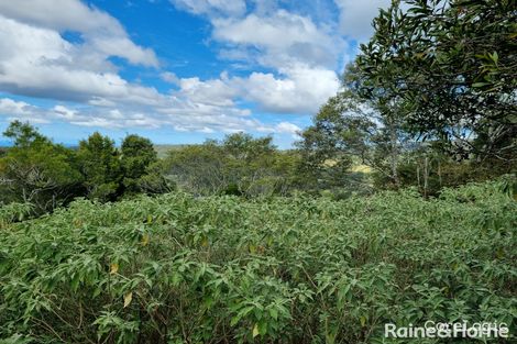 Property photo of 107 Lyrebird Ridge Road Springbrook QLD 4213