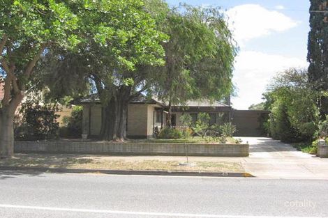 43 Kolapore Ave, Largs North, SA 5016