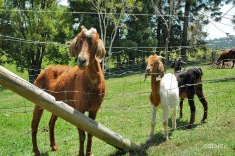 Property photo of 306 Dulong Road Dulong QLD 4560