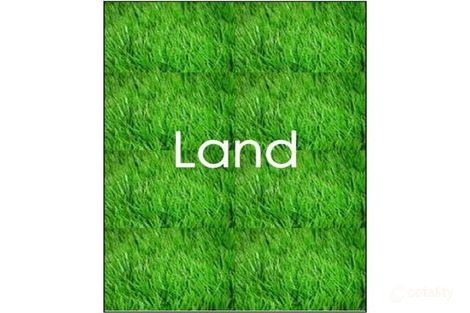 Property photo of 6 Kinross Avenue Seaton SA 5023