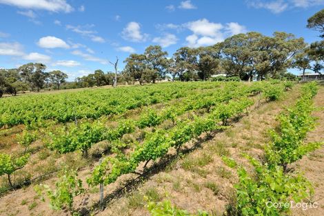 Property photo of 1673 Mandurah Road Baldivis WA 6171