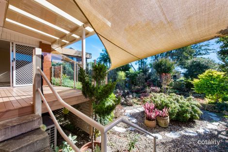 Property photo of 27 Bellevue Street Shelly Beach NSW 2261