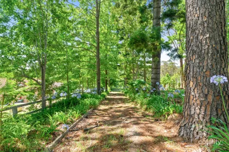 Property photo of 99 The Ridgeway Lisarow NSW 2250