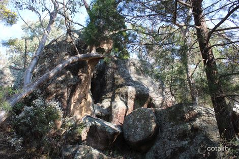 Property photo of 871 Mount Hutton Road Nundubbermere QLD 4380