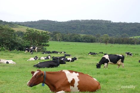 Property photo of 63 Allowrie Street Jamberoo NSW 2533