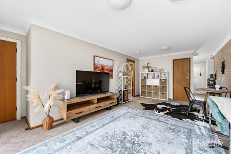 Property photo of 15 Willcox Avenue Singleton Heights NSW 2330