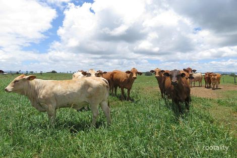 26 Kingcombe Rd N, Lake Eacham, QLD 4884