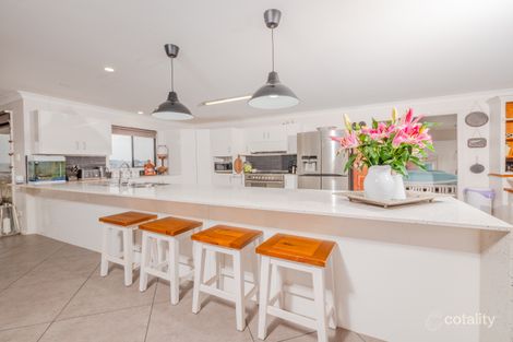 Property photo of 26 Rixons Road Falconer NSW 2365