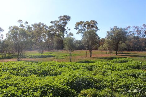 Property photo of 21 Singleton Drive Cobar NSW 2835