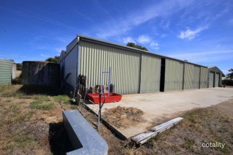 Property photo of 3 Michael Avenue San Isidore NSW 2650