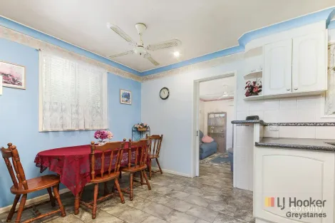 Property photo of 31 Braeside Road Greystanes NSW 2145