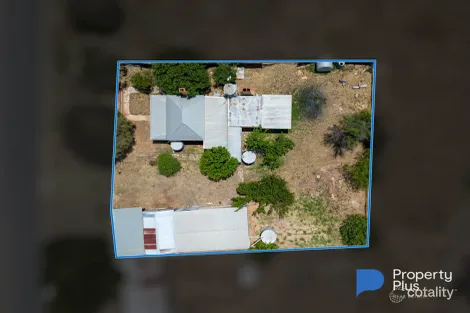 Property photo of 43 Mount Road Bealiba VIC 3475