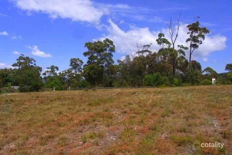 Property photo of 113 Toallo Street Pambula NSW 2549