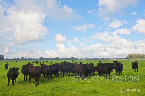 167 Treeton Rd, Cowaramup, WA 6284