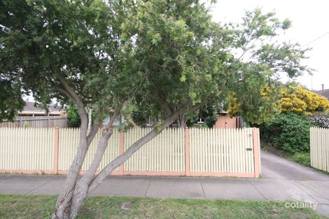 14 Jacaranda Pl, Belmont, VIC 3216