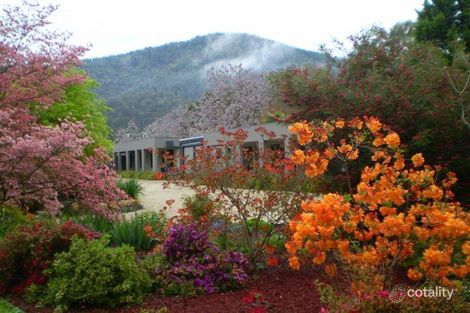 Property photo of 5/2 Gavan Street Bright VIC 3741