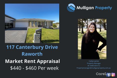 117 Canterbury Dr, Raworth, NSW 2321