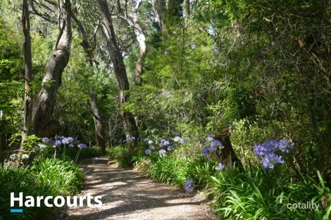 Property photo of 494 Musk Creek Road Flinders VIC 3929